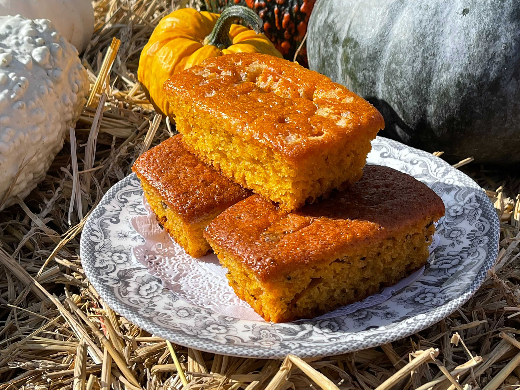 Tasty treats and refreshments for the Pumpkin Patch 2021